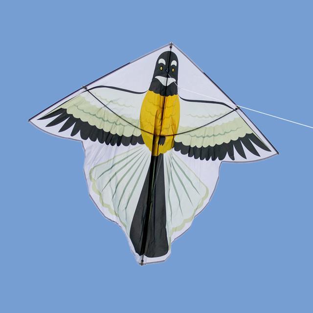Fantail Kite-Glenn Jones Art