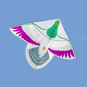 Kereru Kite-Glenn Jones Art